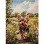 Norimpex Diamantové malování Jorkšírský teriér 30 x 40 cm – Sleviste.cz