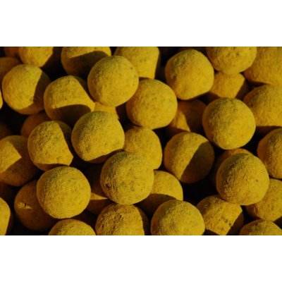 LK Baits Boilies Fish Activ 250ml 20mm World Record Carp Corn – Zbozi.Blesk.cz