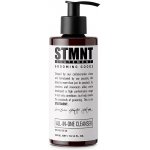 STMNT All In One Cleanser univerzální sprchový šampon pro vlasy, vousy, tělo, obličej 300 ml – Zboží Dáma
