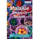 Malajsie Singapur Brunej Lonely Planet