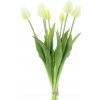 Květina Tulipán svazek 'Sally' x7 krémový V47 cm (N870170)