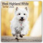 West Highland Terrier Square Dog Breed Wall 16 Month 2024 – Hledejceny.cz