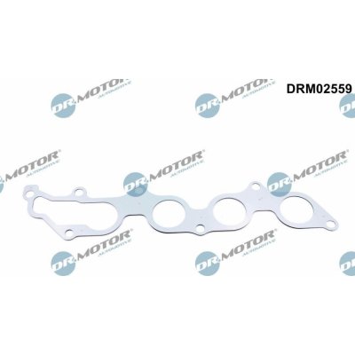 Těsnění, kolektor výfukových plynů Dr.Motor Automotive DRM02559 – Zboží Mobilmania