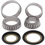 ALL BALLS ložiska řízení s těsnícími prvky HONDA FCS 600 02-13, GL 1800 GOLD WING 01-17, VT 1300 C/CX 10-18 | Zboží Auto