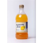Moštěnický sirup Ananas 0,7 l – Zbozi.Blesk.cz