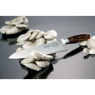 Fr. Dick 1778 nůž 24 cm – Zboží Dáma