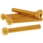 Vparts Sada šroubů 6ks inbus zlatá - M8x50 VC21299 | Zboží Auto