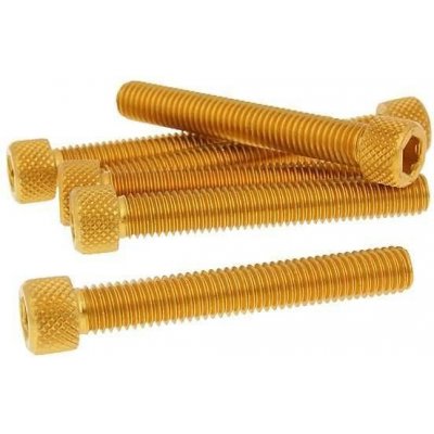 Vparts Sada šroubů 6ks inbus zlatá - M8x50 VC21299 | Zboží Auto