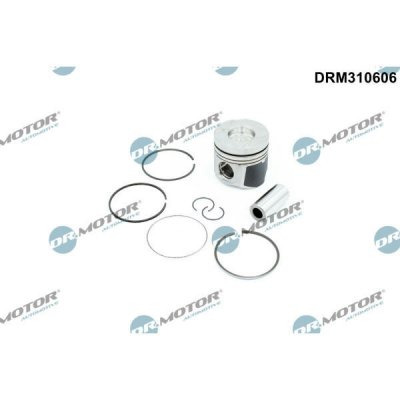 Dr.Motor Automotive DRM310606 – Hledejceny.cz