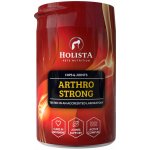 Holista Arthro Strong doplňky stravy pro psy a kočky 200 g – Hledejceny.cz