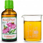 Bylinné kapky ECHINACEA PURPUREA BIO KAPKY tinktura 50 ml – Hledejceny.cz