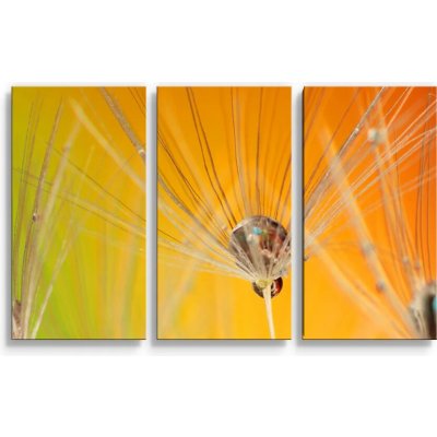 Sablio Obraz - 3-dílný Odkvetlé pampelišky - 120x80 cm – Hledejceny.cz