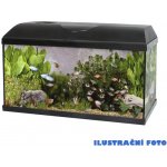 Cat-Gato Pacific akvarijní set 100 x 30 x 40 cm 120 l – Hledejceny.cz