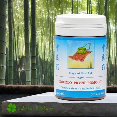 TCM Herbs Kouzlo první pomoci 100 tablet – Hledejceny.cz