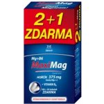 MaxiMag Hořčík 375mg+B6 tob.100+50 zdarma – Hledejceny.cz