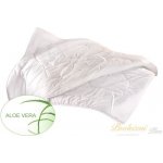 Brotex přikrývka Aloe Vera Duo 140x220 – Hledejceny.cz