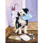 Royal Langnickel Malování podle čísel 22x30 cm - Pejsek – Hledejceny.cz