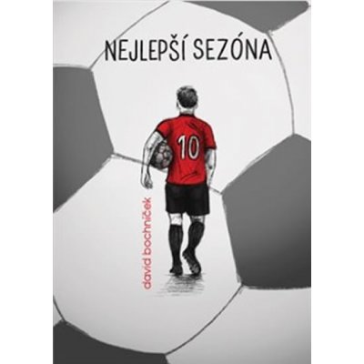 Nejlepší sezona - David Bochníček – Zbozi.Blesk.cz