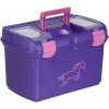 USG Pevný box na čištění fialový růžový s koníkem