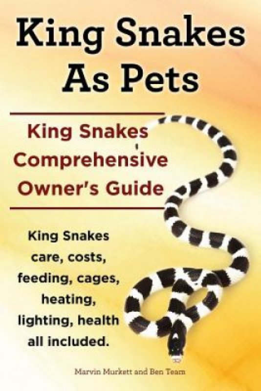 King Snakes as Pets. King Snakes Comprehensive Owners Guide. Kingsnakes