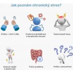BrainMax Cortisol Stress Support 60 rostlinných kapslí – Hledejceny.cz
