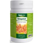 Nutrimix Betaglukan Trouw Nutrition Biofaktory 500 g – Zboží Dáma