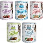Brit Care Cat Snack Superfruits Salmon 100 g – Zboží Mobilmania