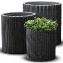 KETER S+M+L CYLINDER Planter sada kvetináčů 3ks ratan antracit