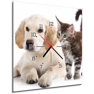 Obraz s hodinami 1D - 50 x 50 cm - Cat and dog Kočka a pes – Zboží Mobilmania