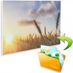 Fenix Ecosun 850 Basic – Zboží Dáma