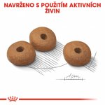 Royal Canin Mini Light Weight Care 3 kg – Sleviste.cz