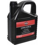 Briggs & Stratton SAE 30 5 l – Sleviste.cz