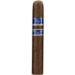 Rocky Patel Vintage 2003 Robusto – Sleviste.cz