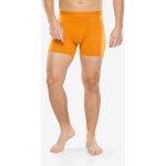 Icebreaker Mens Anatomica Boxers Ray – Zboží Dáma