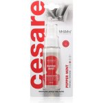 Mr&Mrs Fragrance Cesare Pepper Mint | Zboží Auto