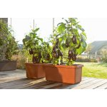 Truhlík samozavlažovací BERBERIS TRiO terakota 117 cm – Zboží Dáma