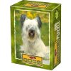 Puzzle D-TOYS Skye teriér 54 dílků