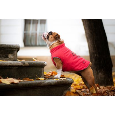 Vsepropejska Bulldog zimní bunda pro psa – Zboží Mobilmania