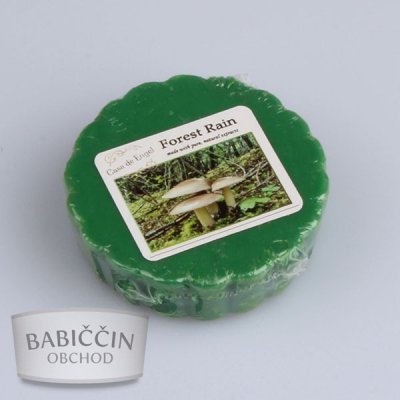 Casa de Engel vonný vosk Forest rain 30 g – Hledejceny.cz