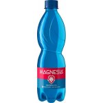 Magnesia neperlivá 12 x 0,5 l – Zboží Dáma