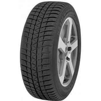 Falken Eurowinter HS449 225/45 R17 91H