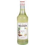 Monin Ginger 1 l – Zboží Mobilmania