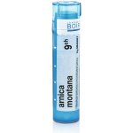 ARNICA MONTANA POR 9CH GRA 4G – Hledejceny.cz