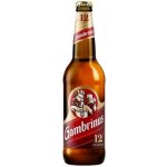 Gambrinus Plná světlý ležák 12° 0,5 l (sklo) – Hledejceny.cz