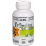 Kompava Tribulus Terrestris 120 kapslí – Sleviste.cz