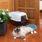 Ferplast Prima 39,5 x 52,5 x 38 cm – Zboží Dáma