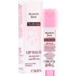 Biofresh Diamond Rose balzám na rty 5 ml – Zbozi.Blesk.cz