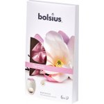 Bolsius Aromatic 2.0 True Sents Vosk Magnolia 6 ks – Hledejceny.cz