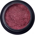 BORN PRETTY Metallic 5 pigment na nehty – Hledejceny.cz