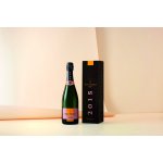 Veuve Clicquot Vintage Rosé 2015 12,5% 0,75 l (holá láhev) – Hledejceny.cz